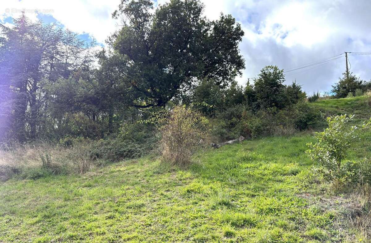 Terrain à BOURG-ARGENTAL