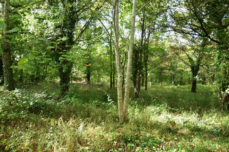 Maison à SAINT-JEAN-D&#039;ANGELY