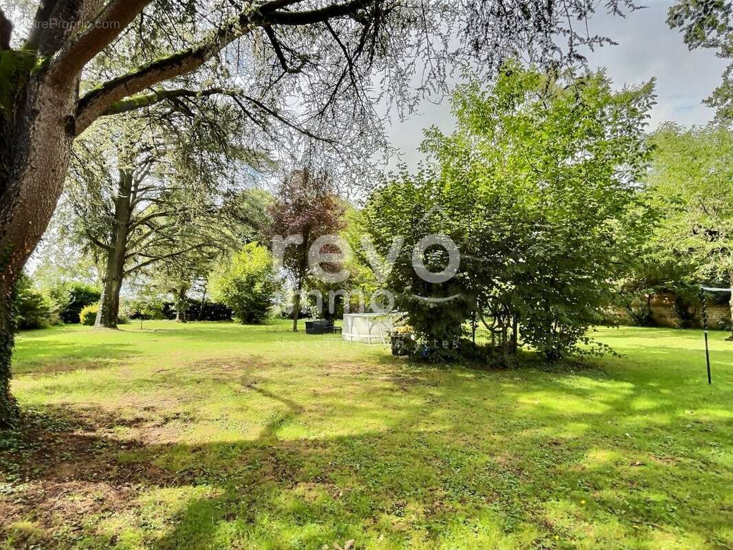 Maison à SAINT-DIDIER-SUR-CHALARONNE