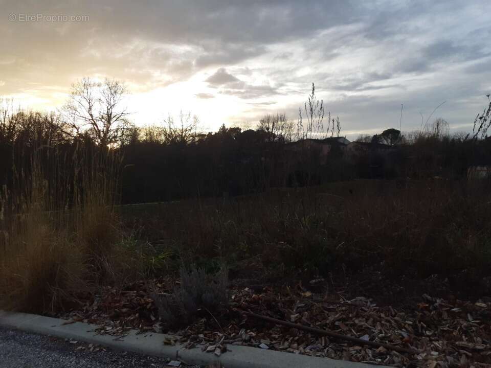 Terrain à CASTELNAU-D'ESTRETEFONDS