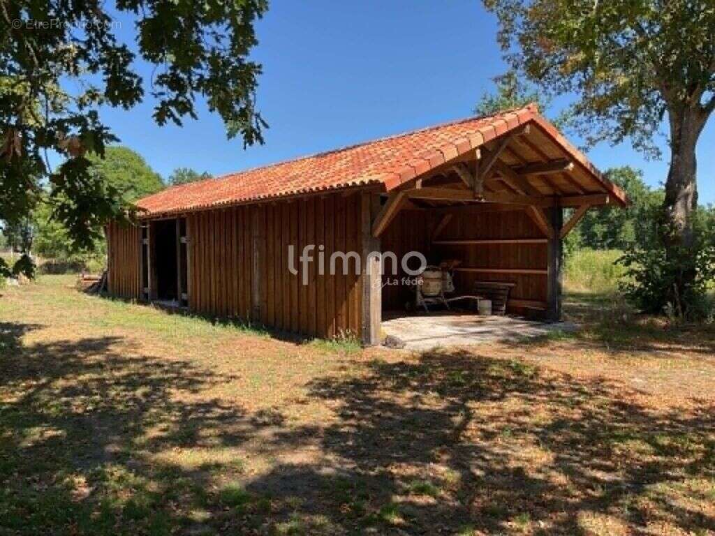 Maison landaise avec piscine, dépendance et terrain - photo 12