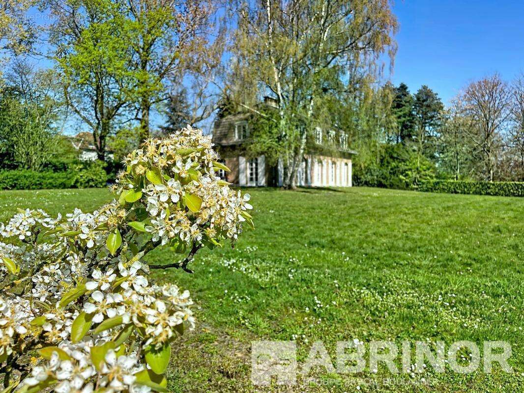 Sur la Montagne de WERVICQ-SUD, maison individuelle de 188 m² hab. à moderniser sur un terrain de 3 900 m² - 4 chambres dont 2 a - photo 12