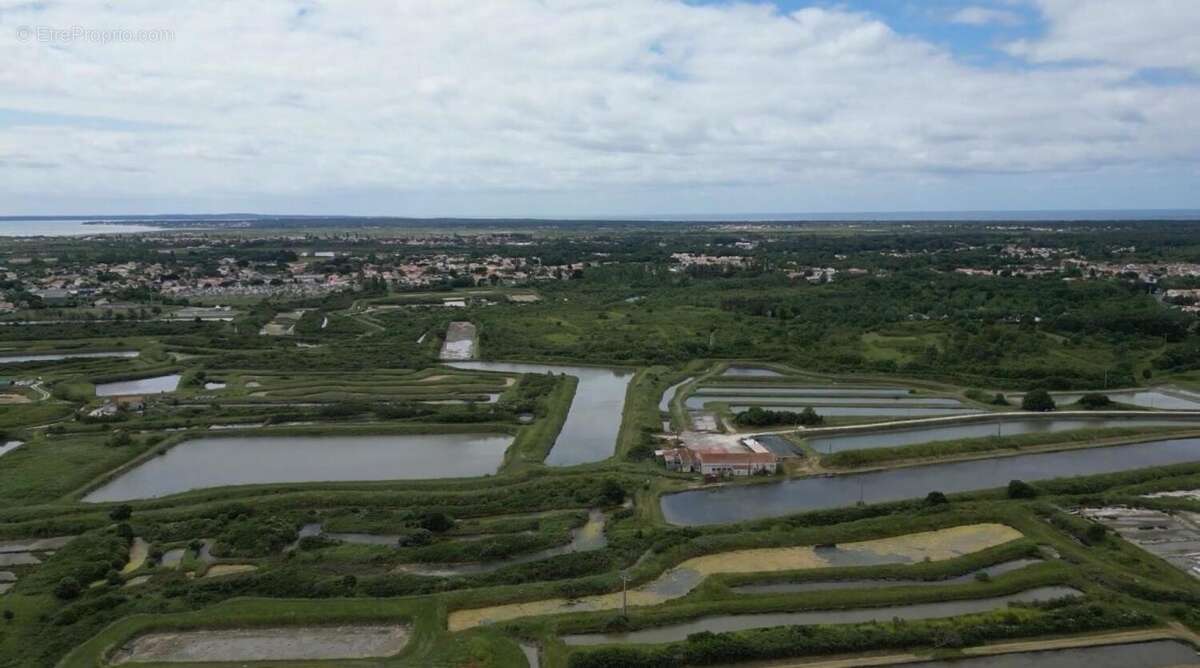 Photo 8 - Commerce à MARENNES