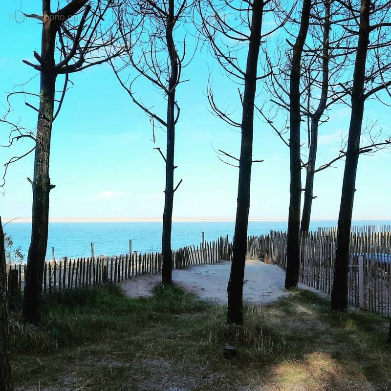 Terrain à LA TESTE-DE-BUCH