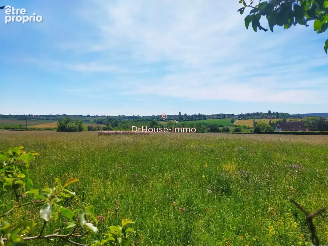 Terrain 2 600 m² à vendre à Chevannes (89240) - photo 3