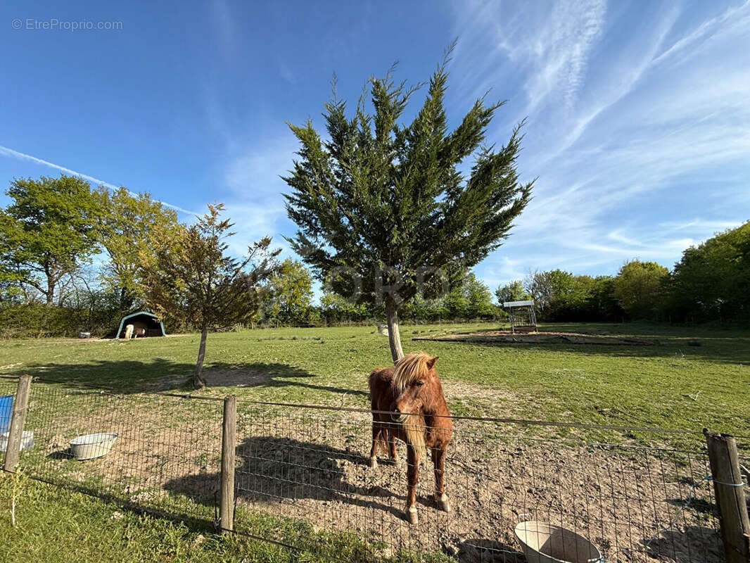 Maison à BEAULIEU-SUR-LOIRE
