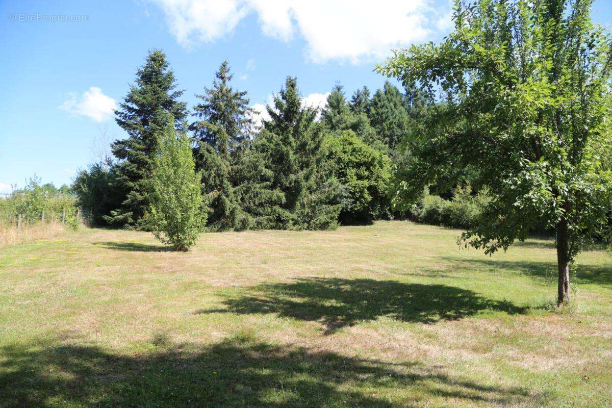 Charmante maison rénovée sur joli parc arboré - photo 3