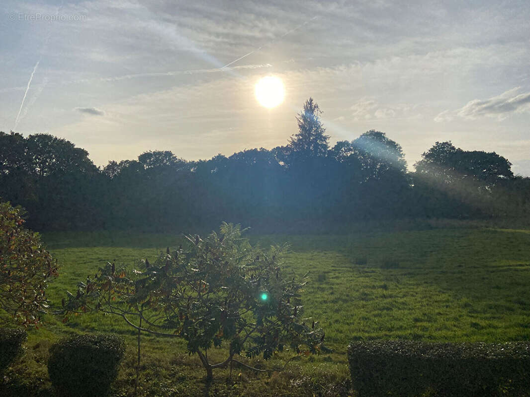 Maison à GUEMENE-SUR-SCORFF