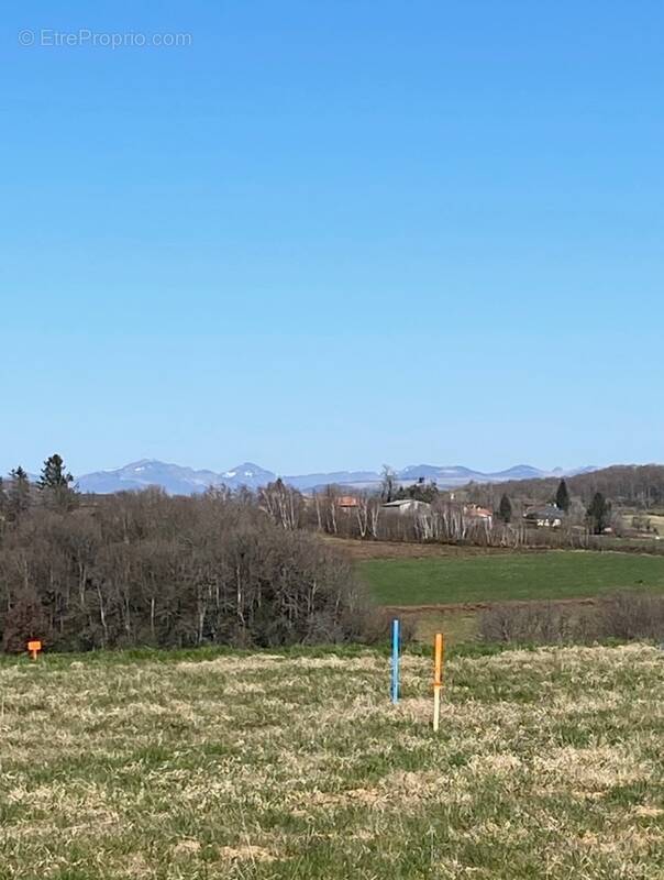 Terrain 1471 m² à Roannes-Saint-Mary  - photo 1
