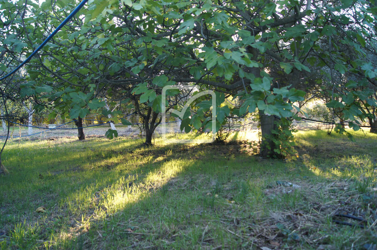Terrain à SAINT-RESTITUT