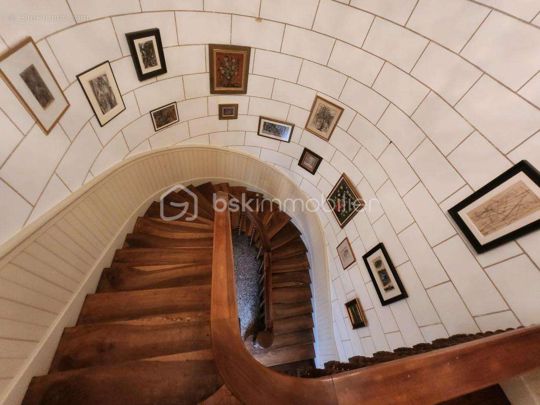 Magnifique Chateau du XIX éme , dépendances, Maison de gardien/gite, parc arboré de 9,5 hectares - photo 11