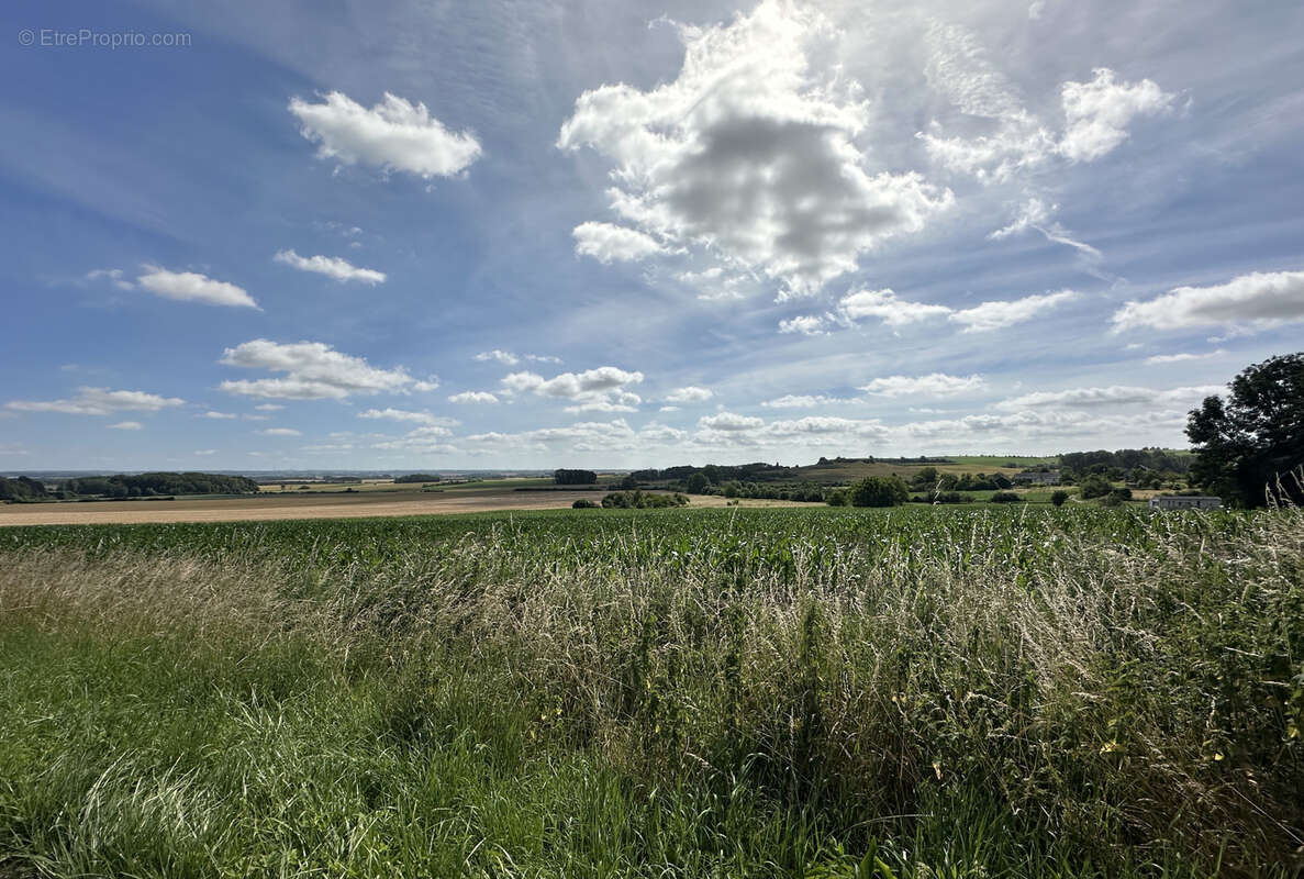 Terrain à SON