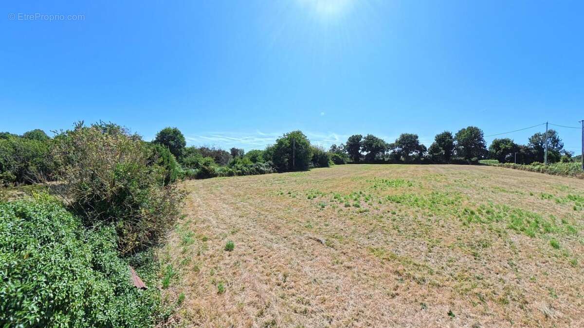 Grand corps de ferme, grande parcelle de 9800 m2 - photo 4