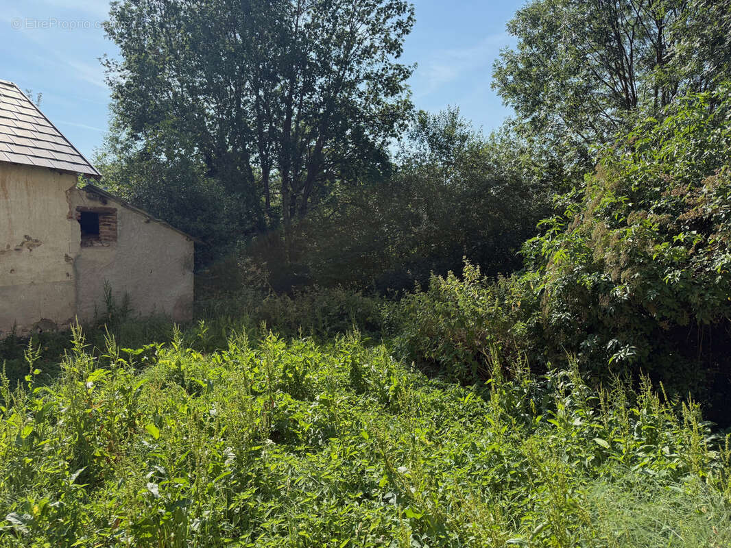 Auv 1225: Maison de caractère, grande grange, toits neufs, 1640m2 - photo 76