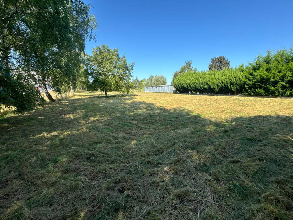 Terrain à SILLEGNY