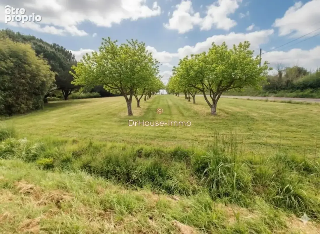 Maison 1 pièce 600 m² à vendre à Commequiers (85220) - photo 33
