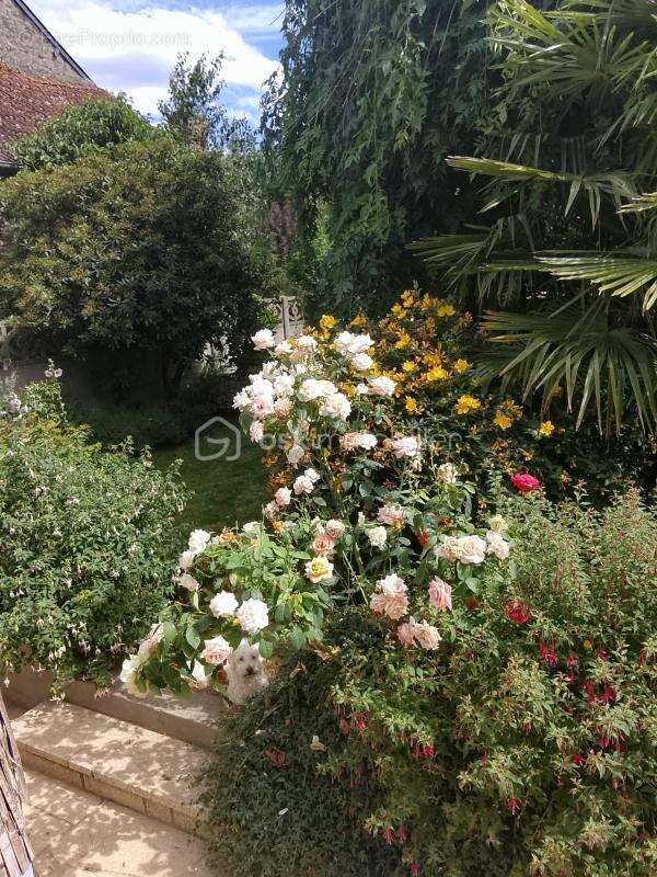 Maison de ville avec jolie jardin au calme - photo 12