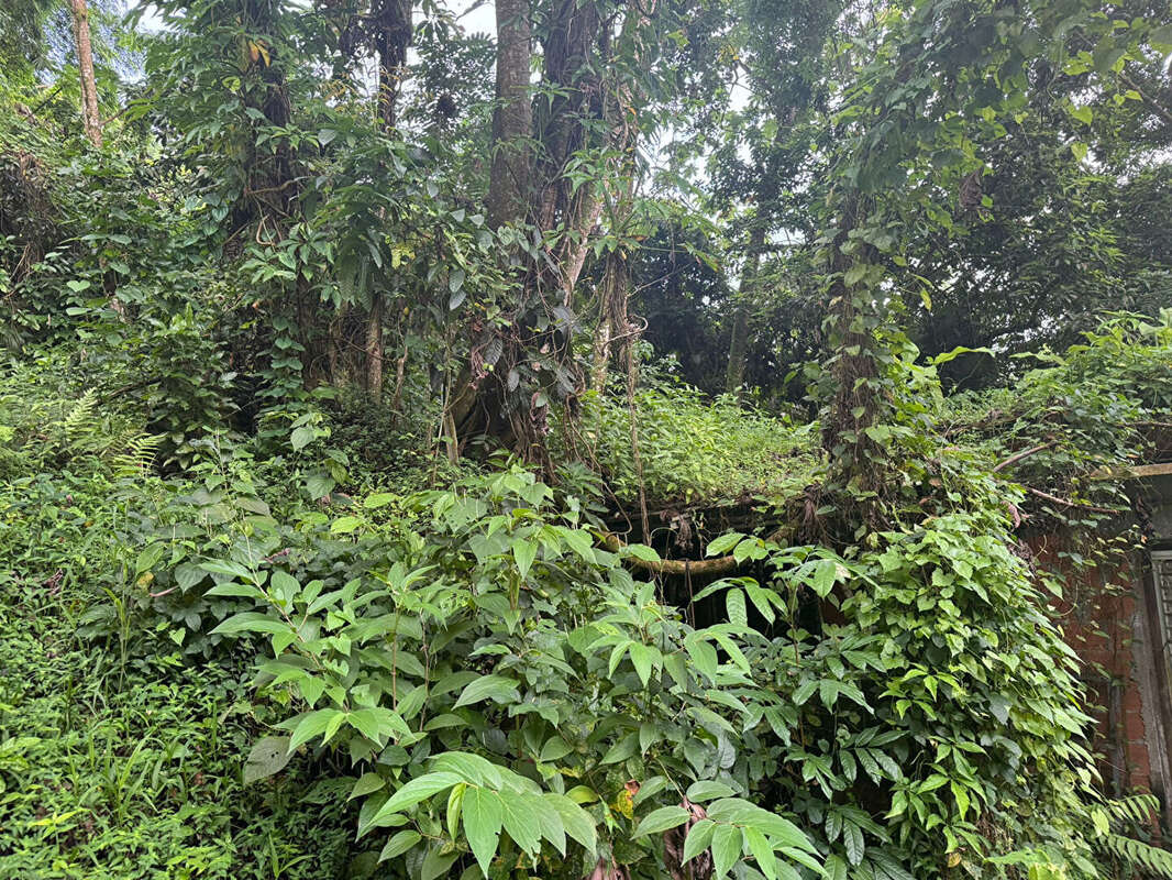 Maison à LE ROBERT
