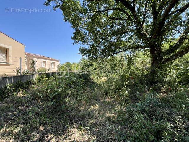 Niort - Les brizeaux - photo 6