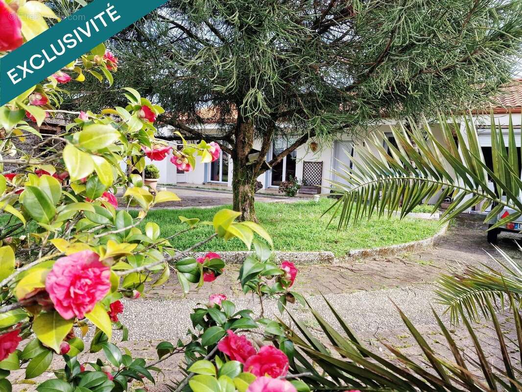 Photo 2 - Maison à COMMEQUIERS