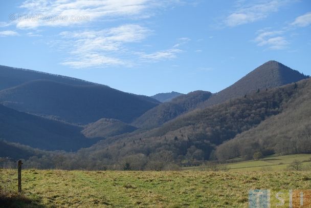 Terrain à SAINT-BERTRAND-DE-COMMINGES