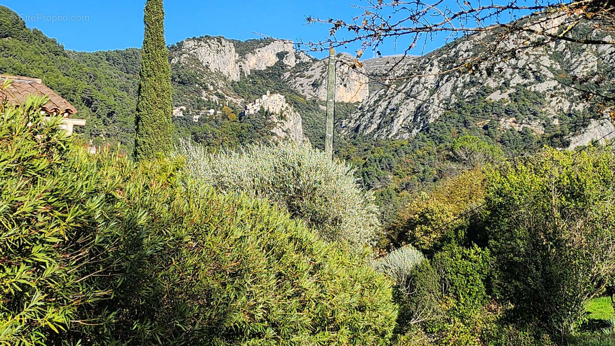 Peillon:  baisse de prix !  terrain a batir, offrant vue degagee, village, ecole et commodites a pied - photo 3