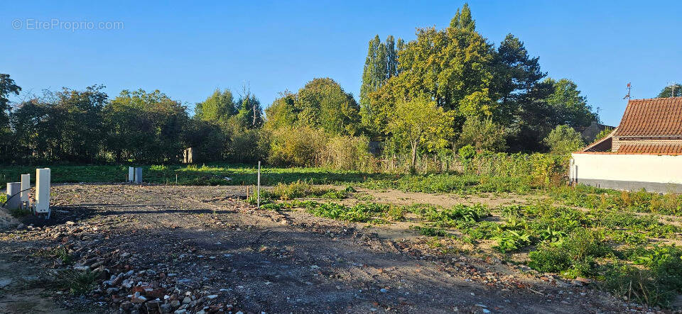 Terrain à BERSEE