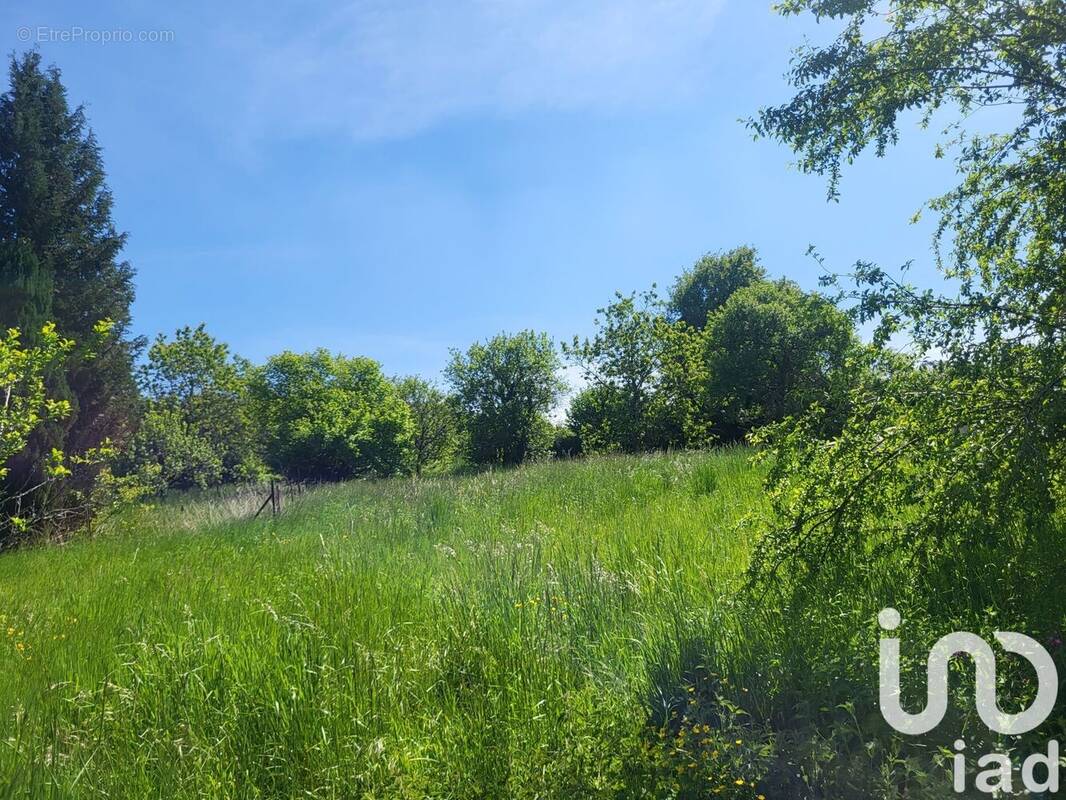 Photo 1 - Terrain à FLIZE
