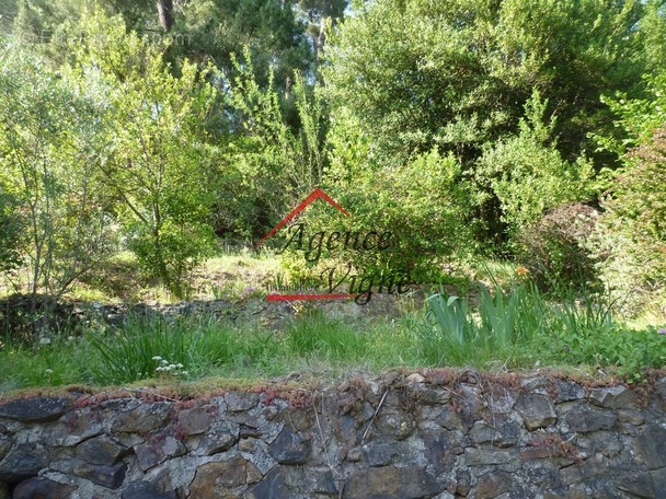 Maison à ROBIAC-ROCHESSADOULE