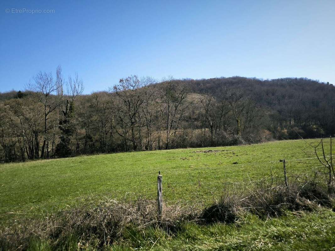 Mirepoix 10 ' . calme 39 ha , maison bio climatique . - photo 13