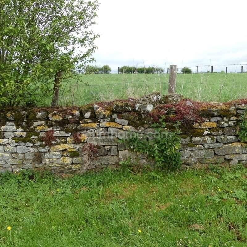 Terrain à PRECY-SOUS-THIL