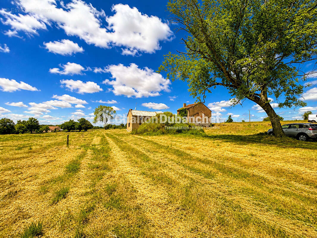 Terrain de 4576 m²  avec deux bâtiments en ruine à MONTAIGUET EN FOREZ - photo 5