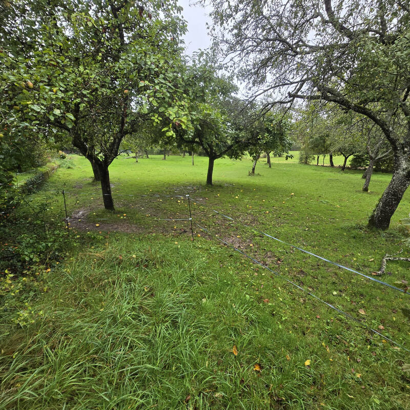 Terrain à XIROCOURT