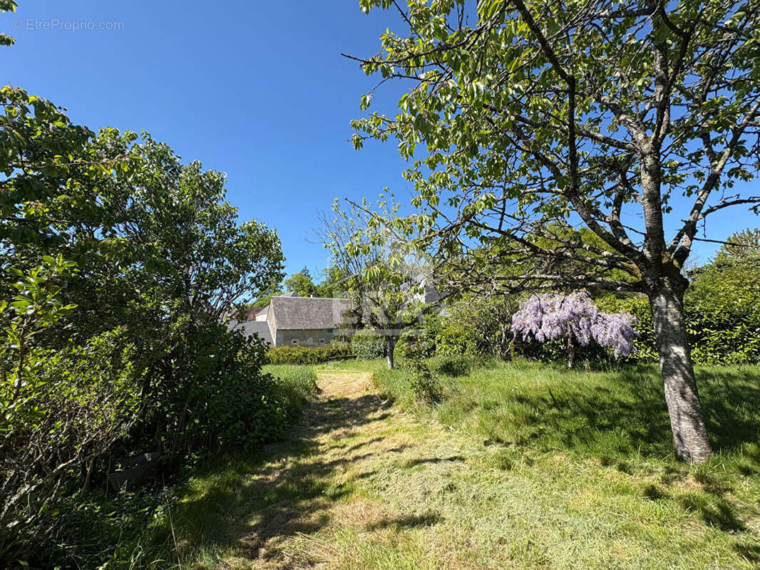 Maison à AILLIERES-BEAUVOIR