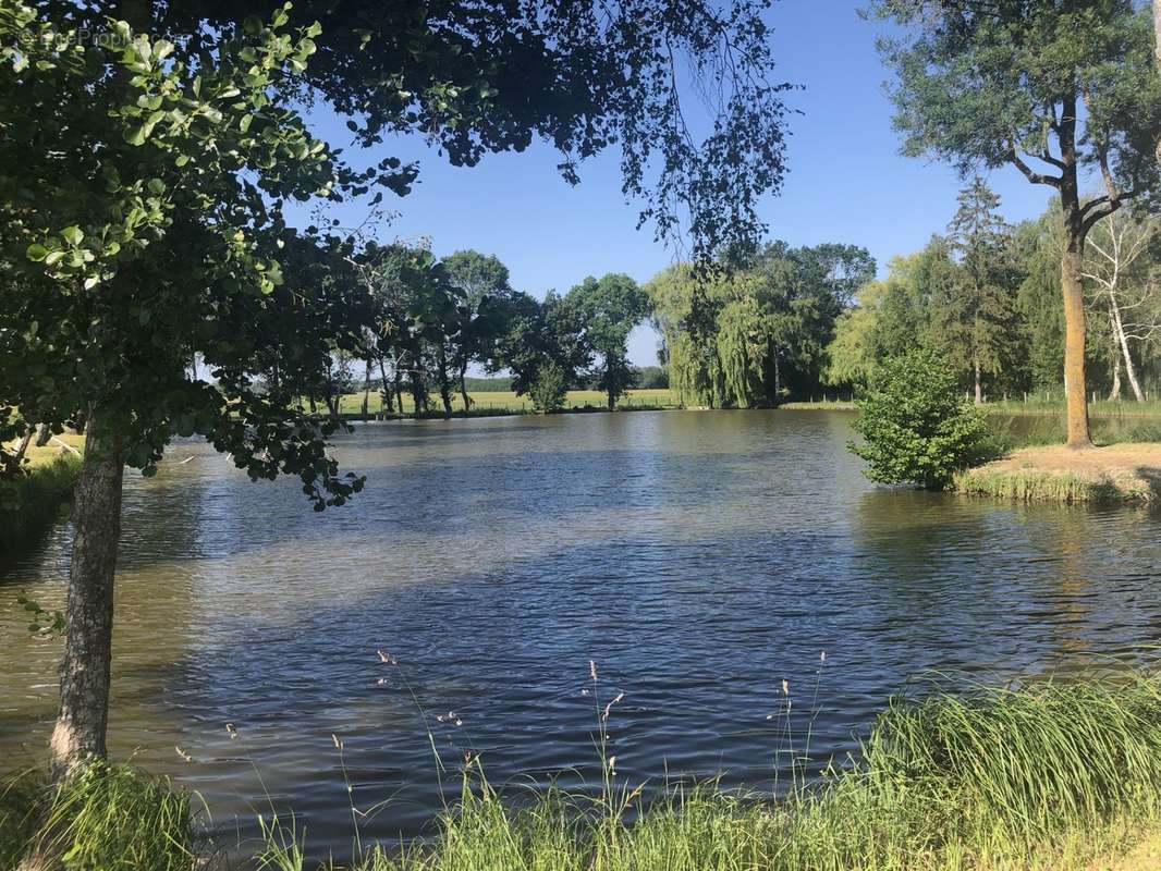 Etang - photo 2