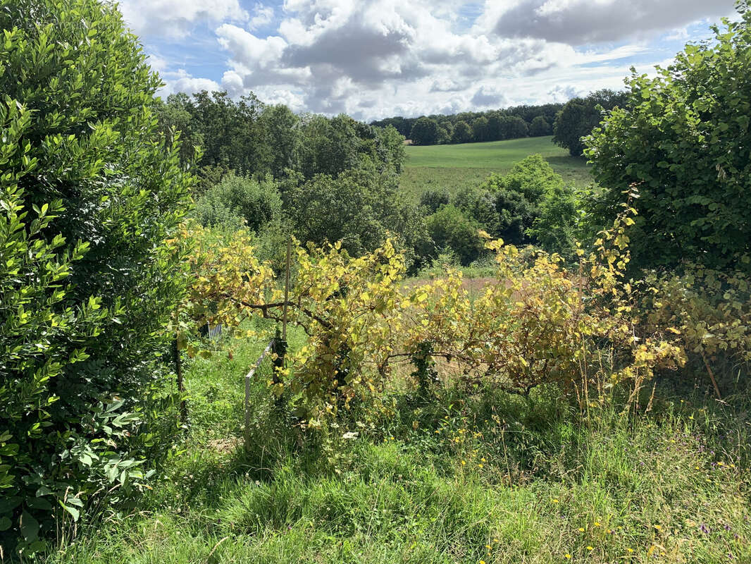 Maison à MONTACHER-VILLEGARDIN