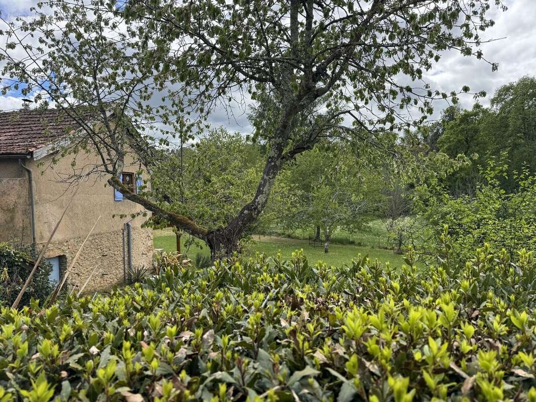 IMG2522 - Maison à LE BUISSON-DE-CADOUIN