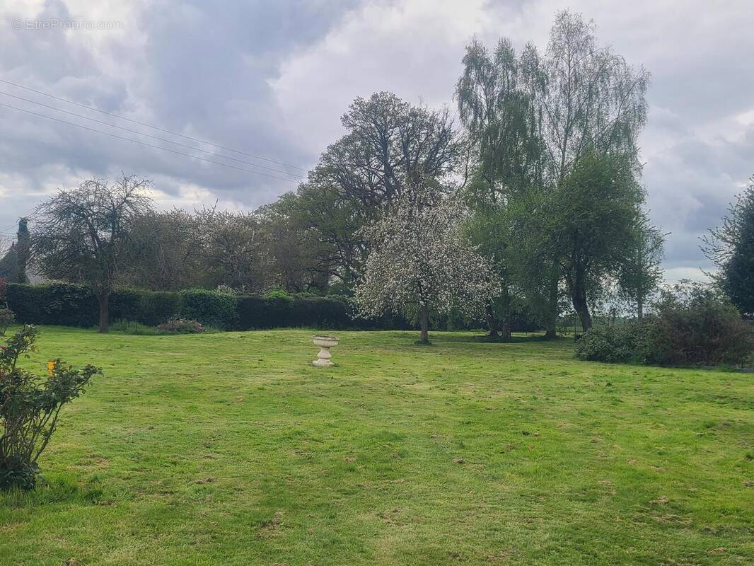 Photo 1 - Terrain à HAUVILLE