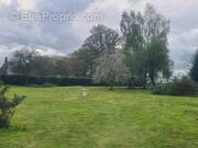 Photo 1 - Terrain à HAUVILLE