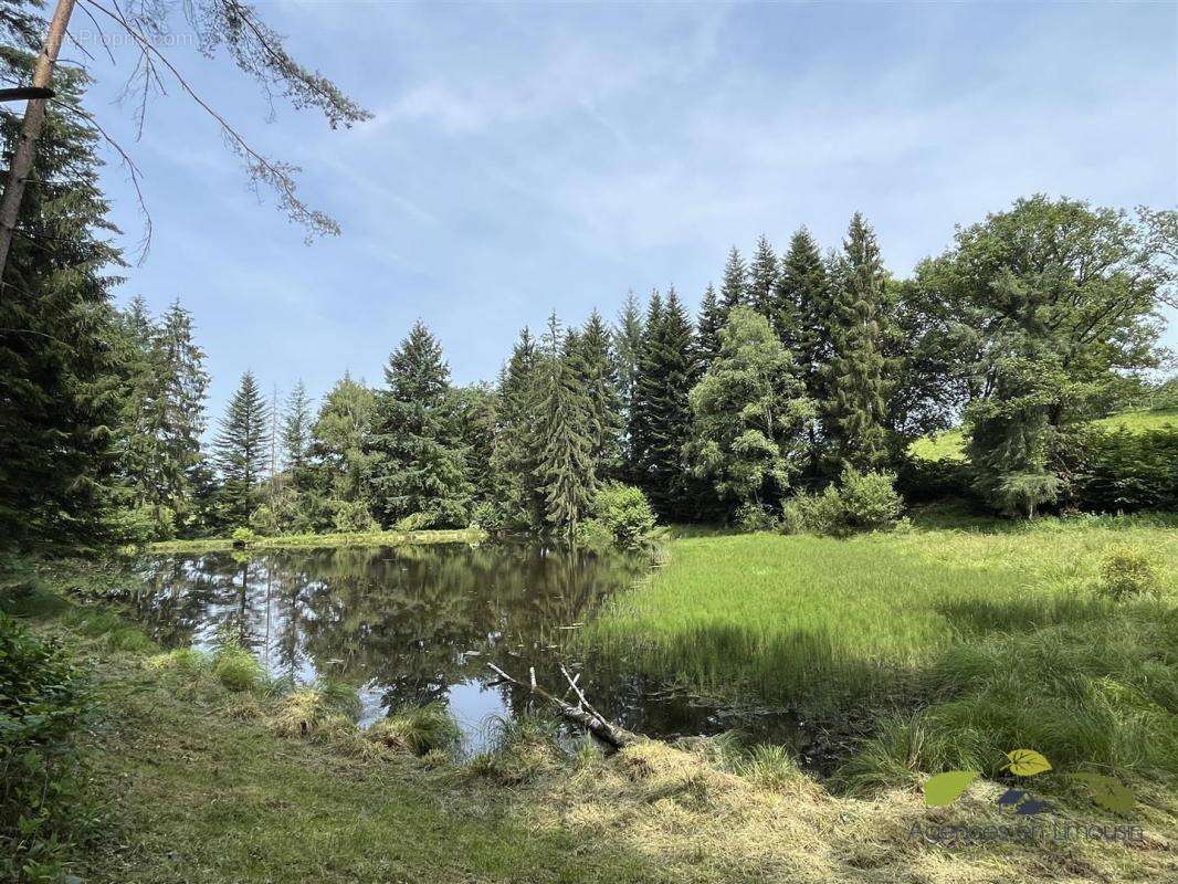 Maison à MOISSANNES