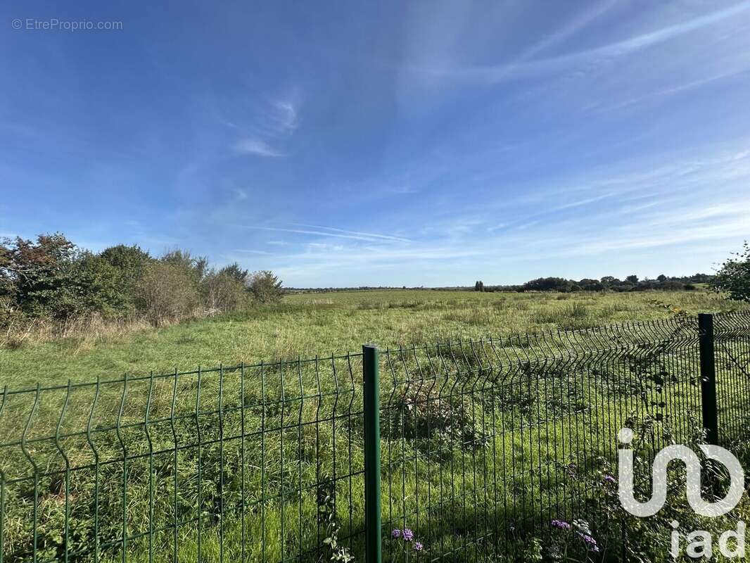 Photo 7 - Maison à SAINT-PAIR-SUR-MER