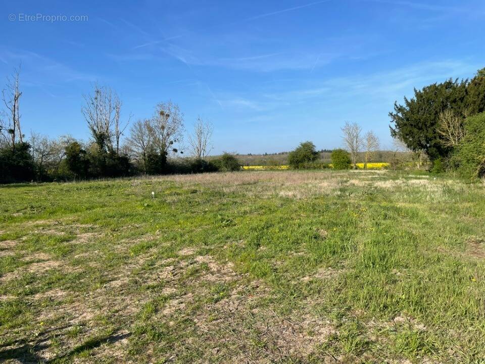 Terrain à BERCHERES-SAINT-GERMAIN