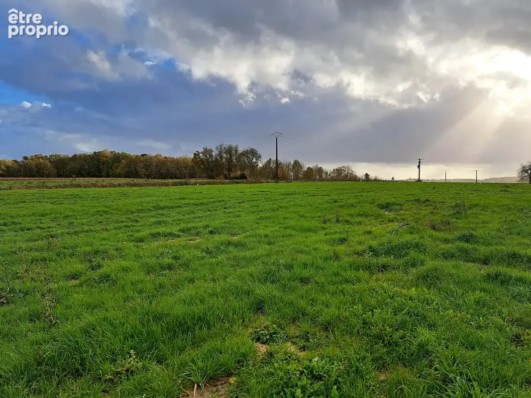 Terrain 1 554 m² à vendre à Merignac (17210) - photo 84