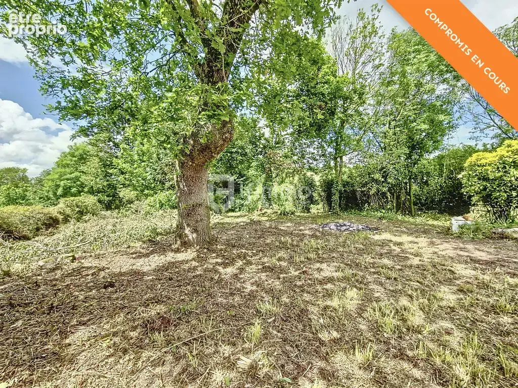 Longère de 3 pièces, 80 m² à Plomodiern 29550 - photo 7