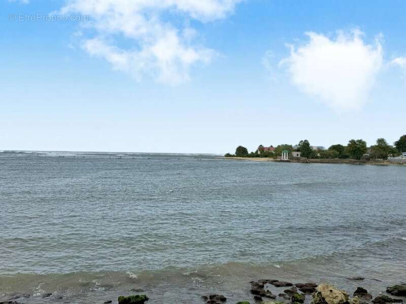 Commerce à LE MOULE