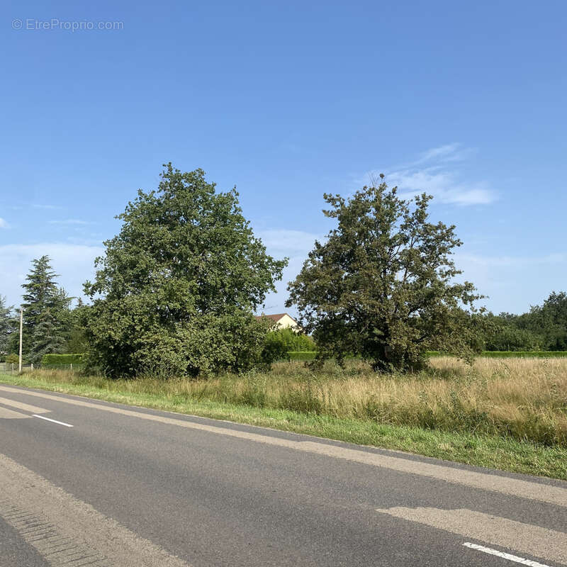 Terrain à TRACY-SUR-LOIRE