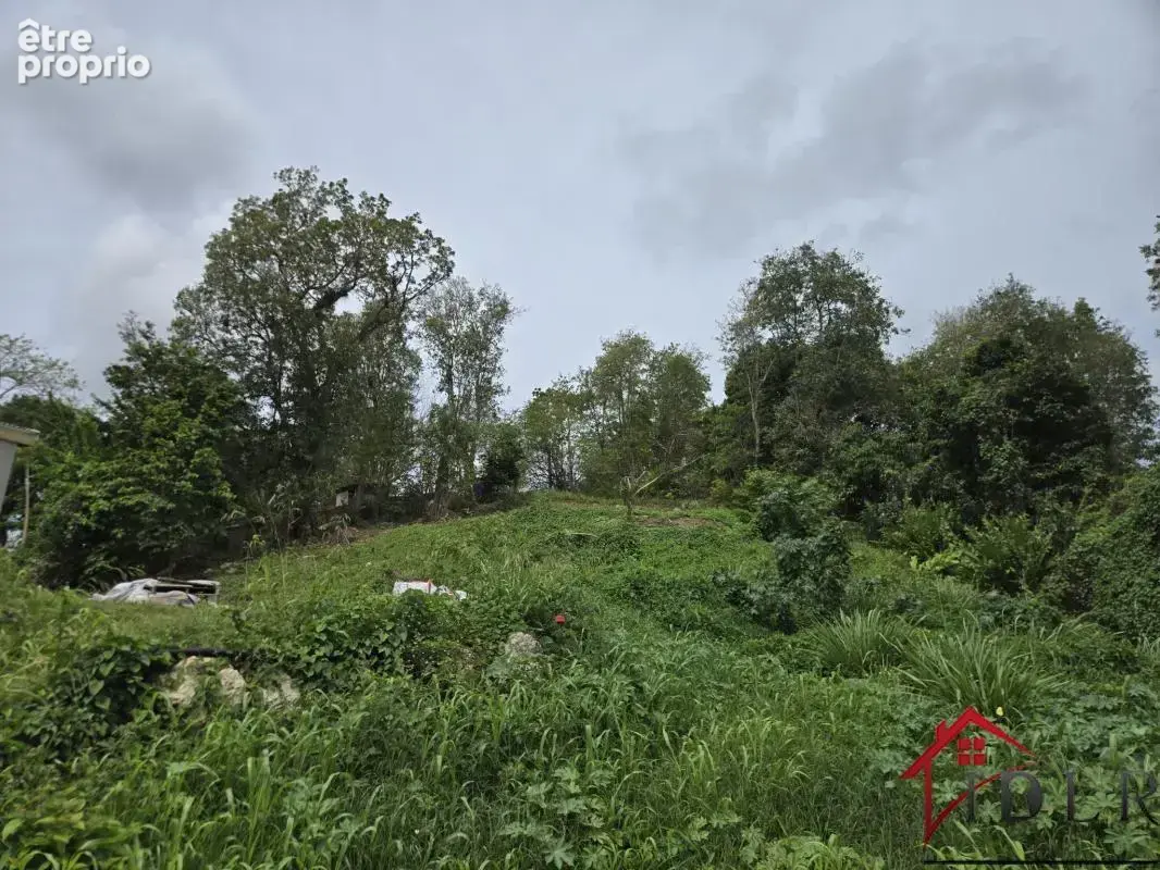 terrain constructible les Abymes 97139 Guadeloupe - photo 2