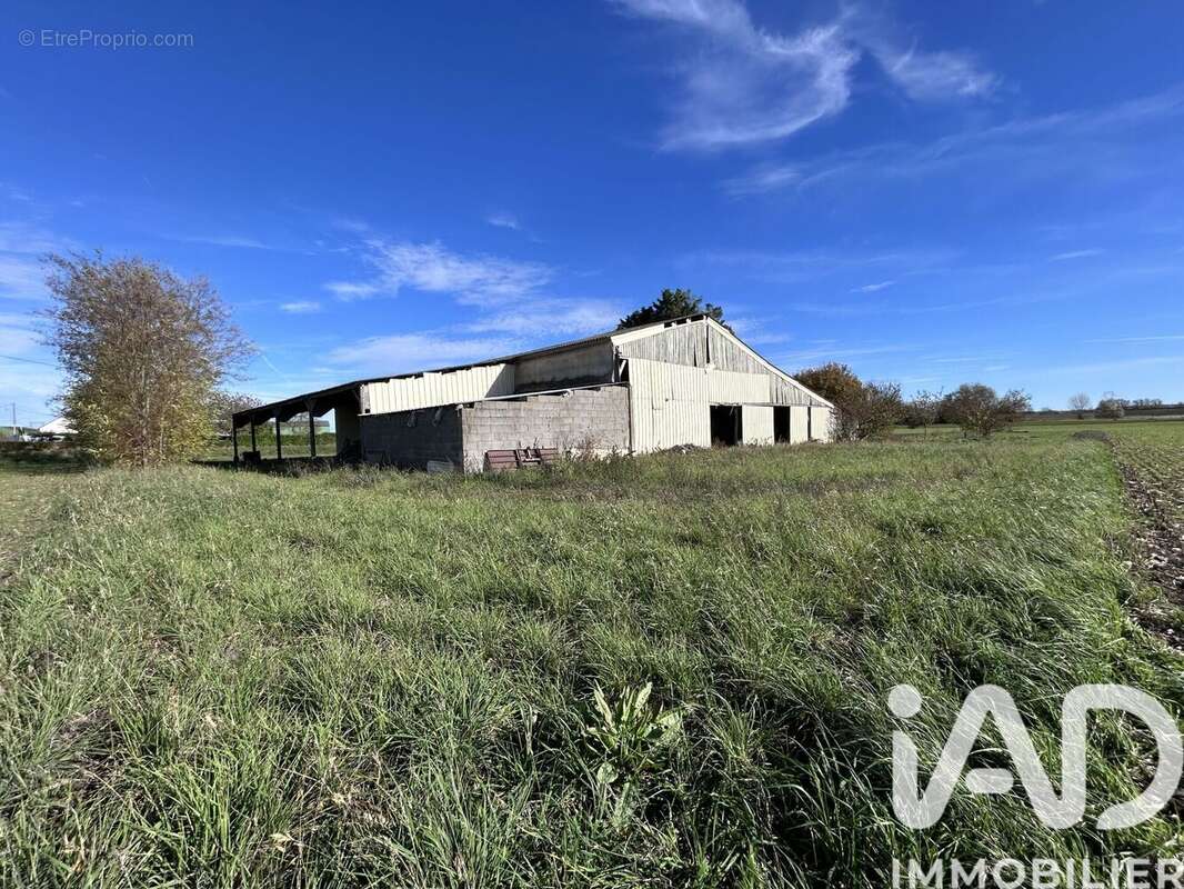 Photo 3 - Maison à MONTREUIL-BELLAY