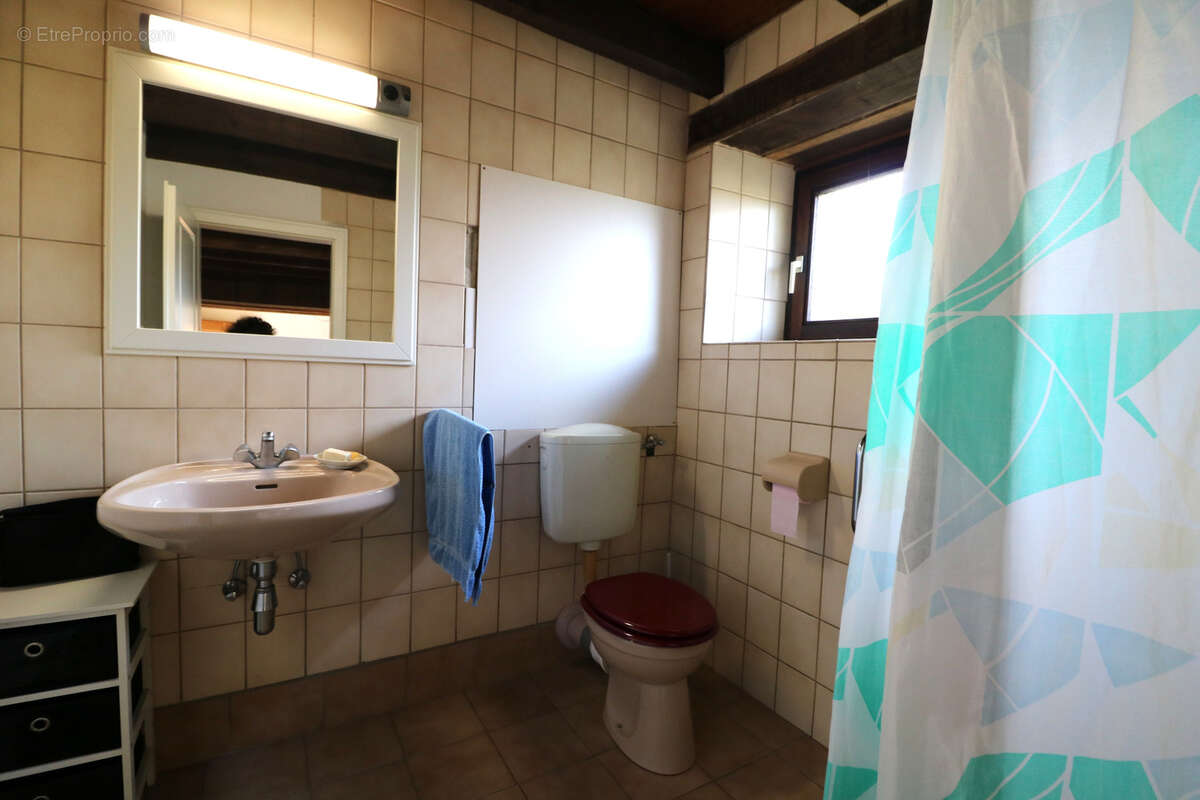 Joli ensemble immobilier à la campagne, 4 ou 5 logis, idéal résidence secondaire d'amis ! - photo 67