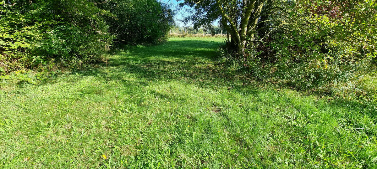 Terrain à CUY